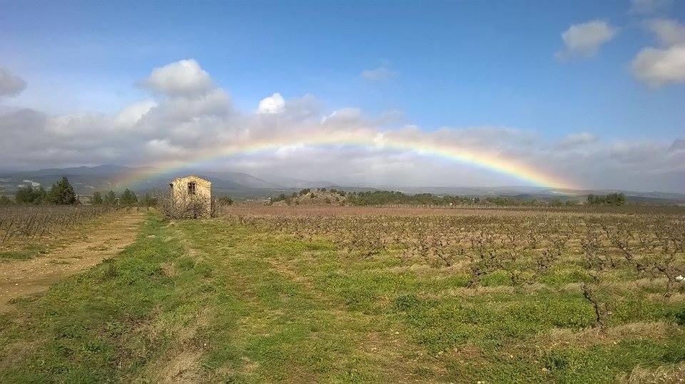 Domaine D'Azeou Guest House Laure-Minervois Ngoại thất bức ảnh